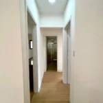 WhatsApp Image 2025-11-06 at 16.58.56